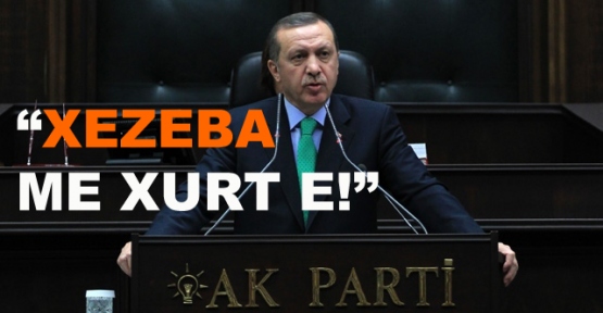 erdogan_sriy_tehdd_kir_h790