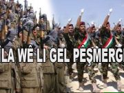 PKK: Emê piştgiriya pêşmergan bikin