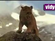 Zêdetirî 33 mîlyonan li vê vîdyoyê temaşe kirin