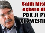 “Ji xeynî YPG tu hêzeke din nayê qebûlkirin“