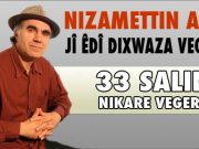 Nizamettin Ariç jî dixwaze vegere