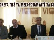 Li Mêrdînê Kongreya Tibê ya Mezopotamyayê