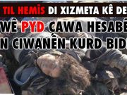 Seyda: Şer di xizmeta rejîmê de bû