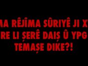Gelo destê rêjîmê di şerê DAIŞ û YPG de heye?