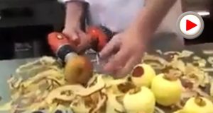 Vî nanpêjî pişt li Japonê şikand