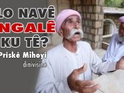 Navê ŞENGALê ji ku tê?