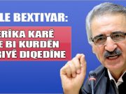 “Dibe ku Emerîka dev ji Kurdên Sûriyê berde”